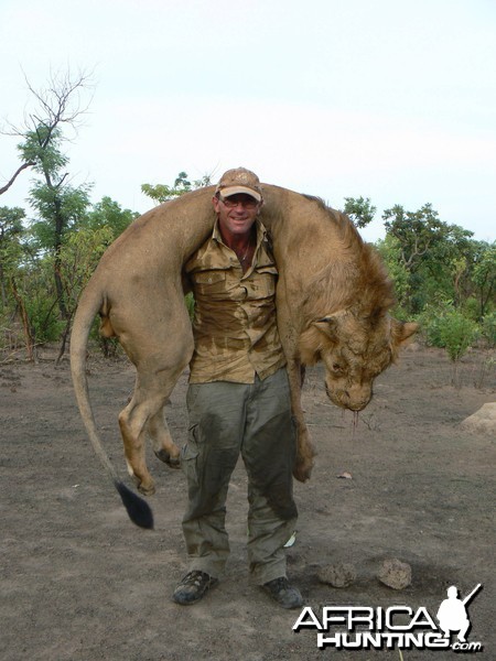 Lion hunting in Central Africa