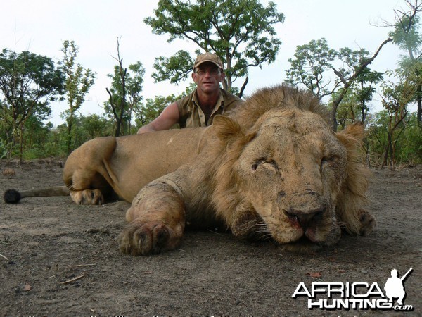 Lion hunt in Central Africa