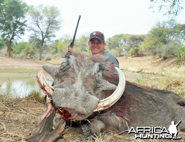 lisa'a big warthog on the Marico River Limcroma Safaris 2015