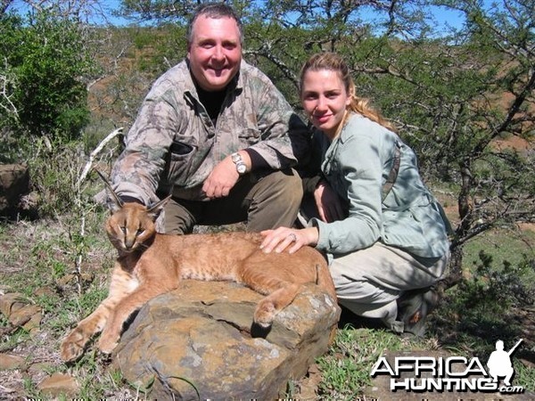 hunting Caracal in South Africa