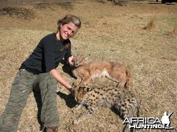 Hunting Caracal and Serval in South Africa