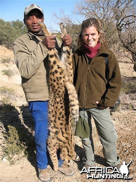 Hunting Serval in South Africa