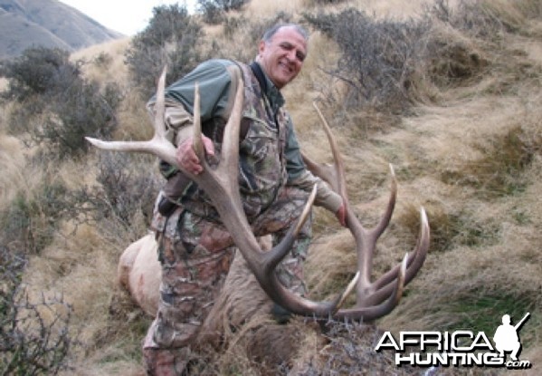 Hunting Stag in New Zealand