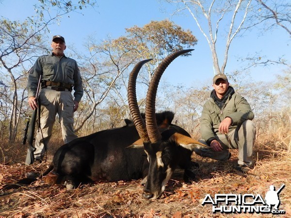 Hunting Sable in Tanzania with Nathan Askew of Bullet Safaris