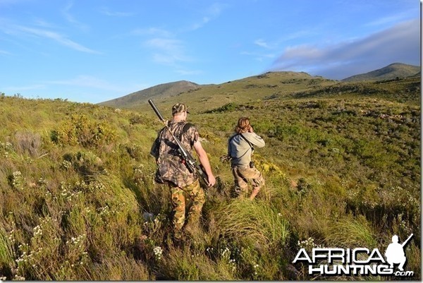 Stalking in high country