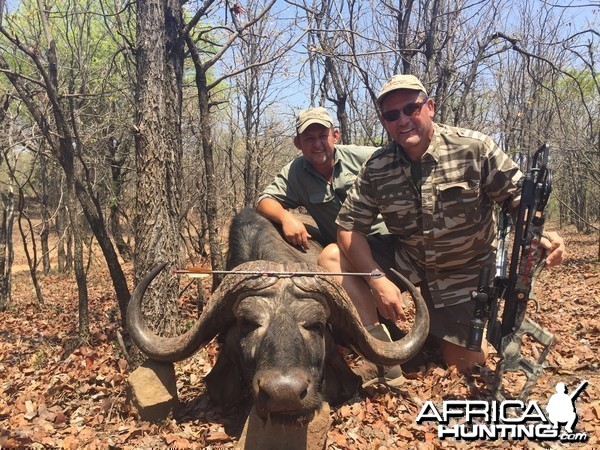 Crossbow Cape Buffalo