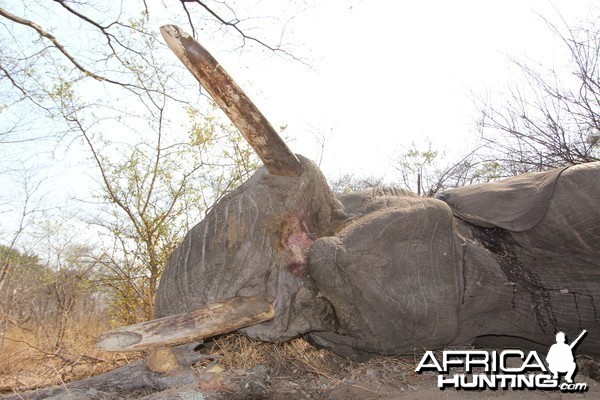 Sikunga Conservancy 2015 Highlights