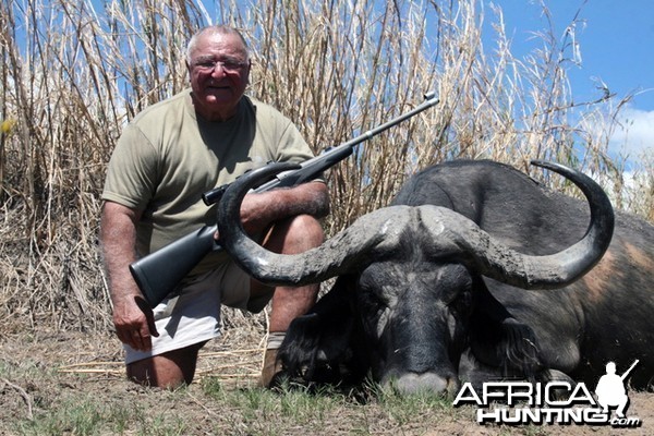 Buffalo Hunt in Tanzania