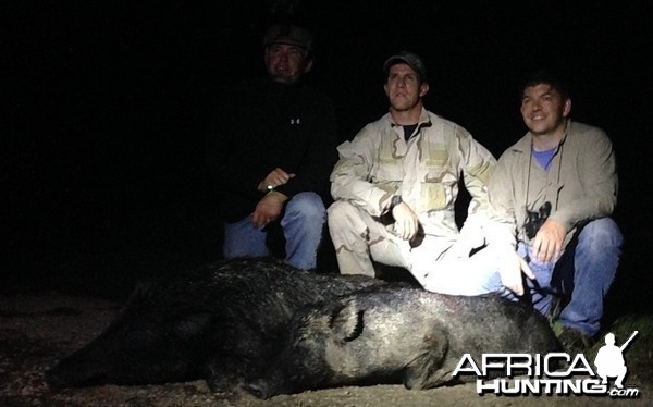 Night Vision and Thermal Pig Hunts