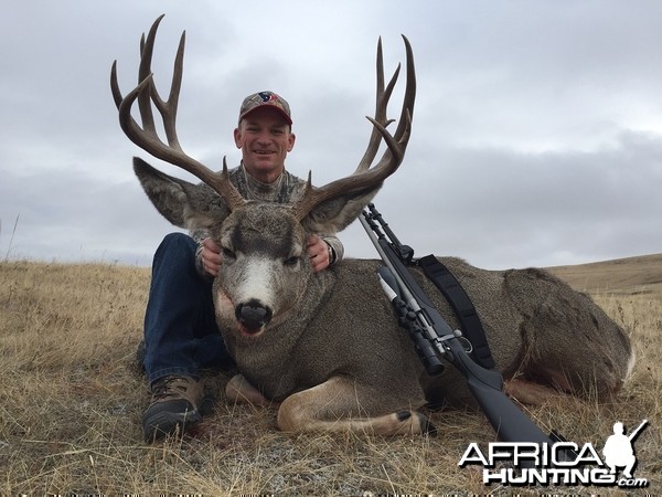 Alberta Mule Deer Hunt