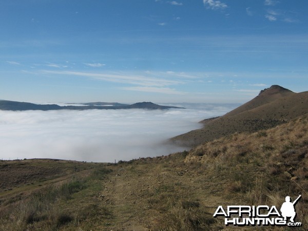 Mountain Reedbuck country - Mankazana Valley.