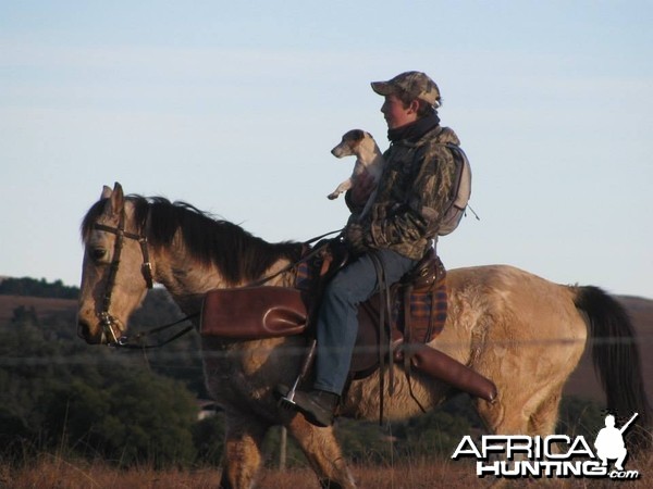 Horseback Hunting