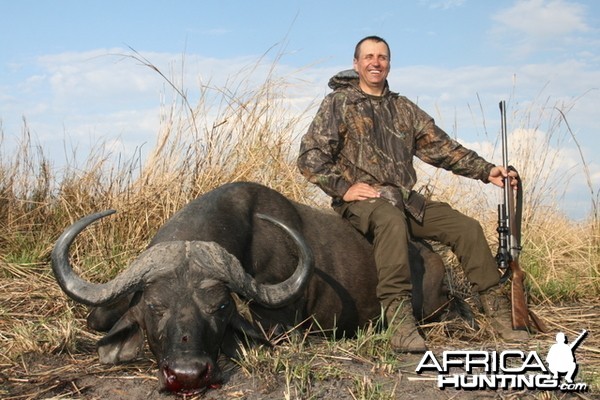 Cape Buffalo Tanzania