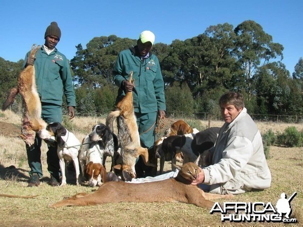 Caracal and jackal on a good morning out with the hounds.