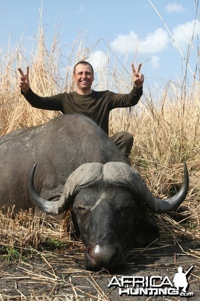 Cape Buffalo Tanzania