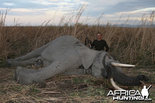 Elephant Hunting Tanzania