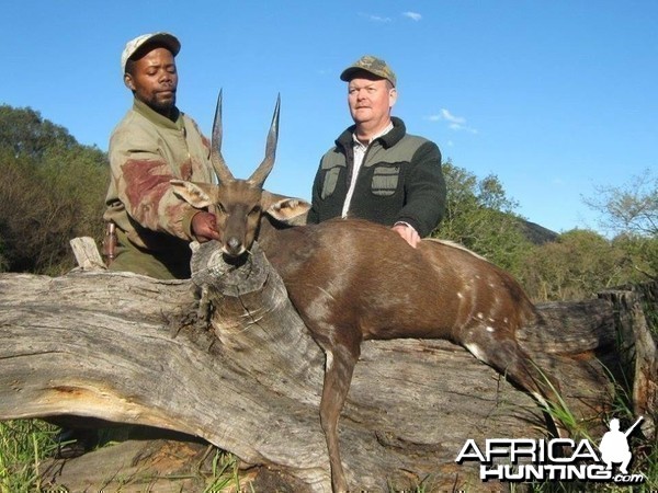 Bushbuck - Free range Mankazana Valley