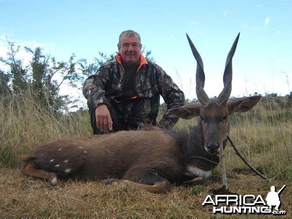 Bushbuck - Free range Mankazana Valley