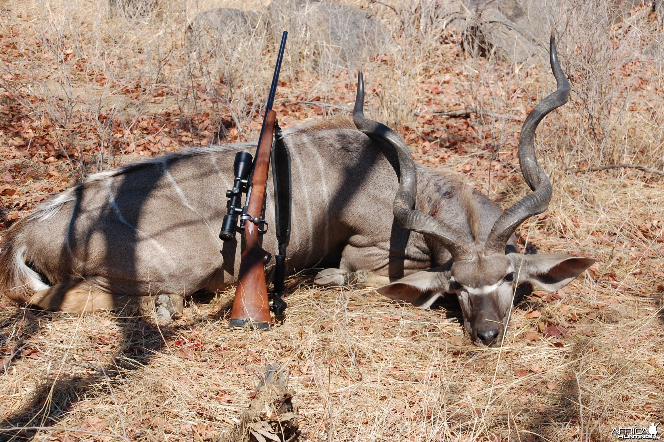 My fathers kudu