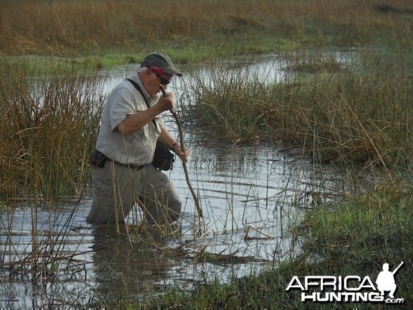 Sitatunga Hunting