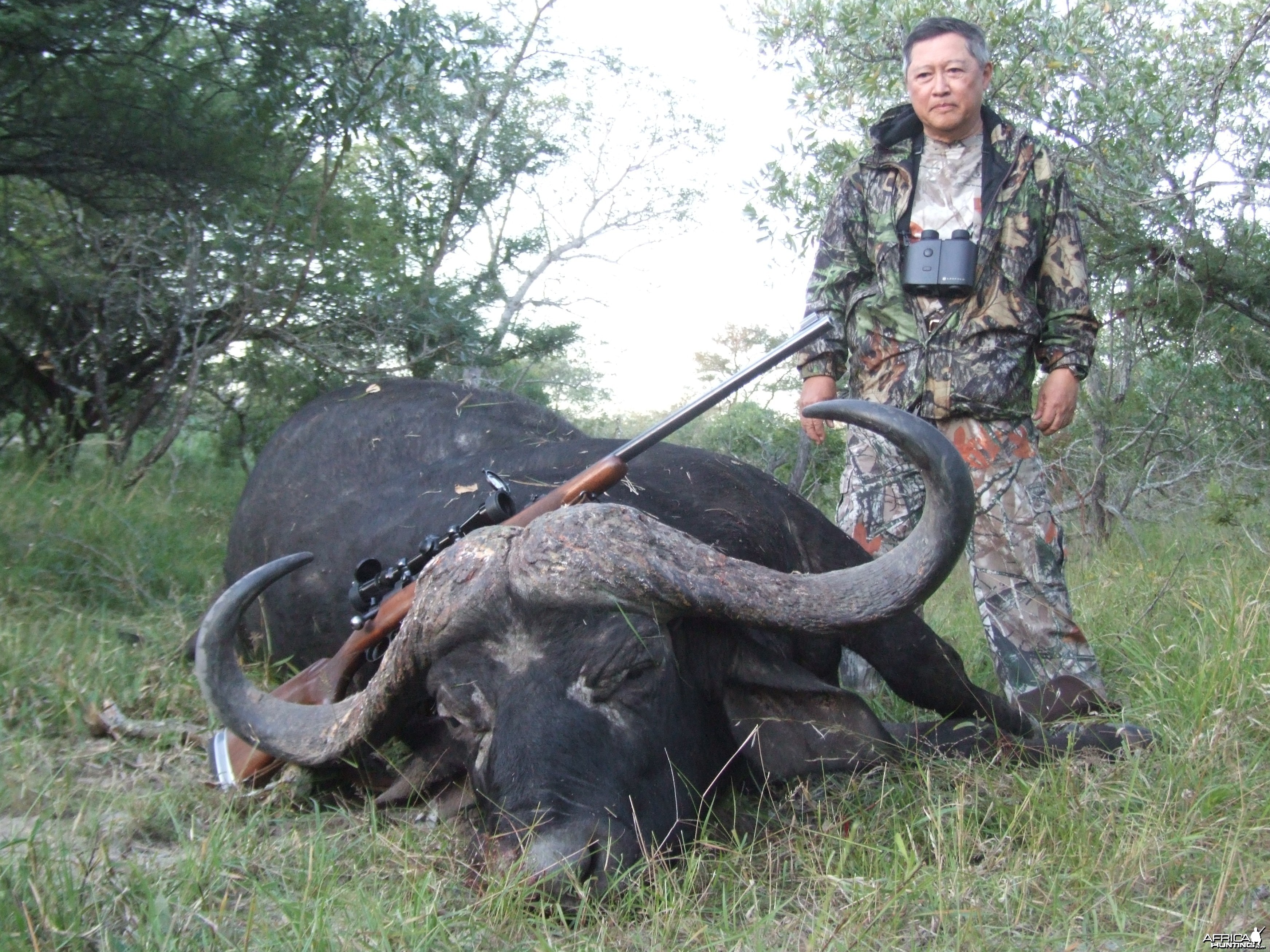 RSA Buffalo from the recent past, Spear Safaris
