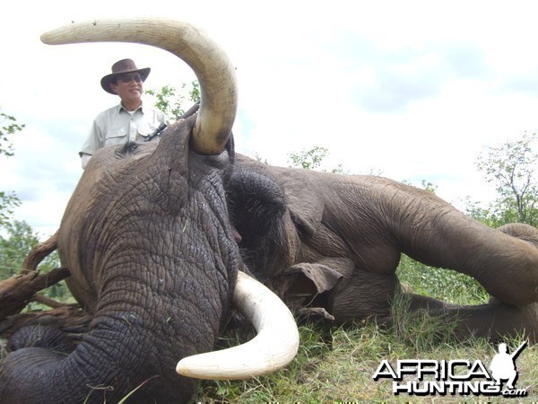 Excellent greater Kruger Elephant Bull, Spear Safaris