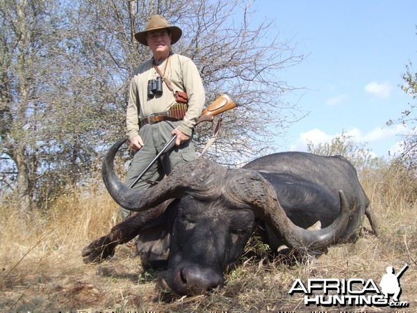 Greater Kruger Buffalo Bull, Spear Safaris