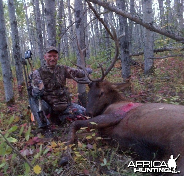 2015 elk hunt in Alberta, Canada