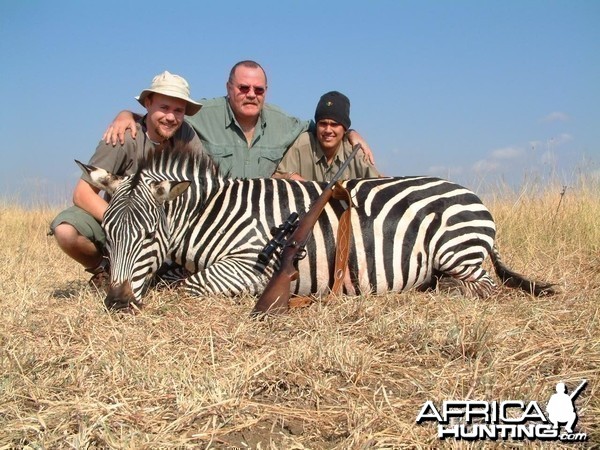 Zebra Tanzania