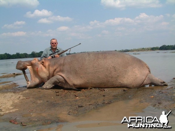 Hippo Tanzania