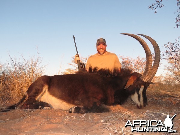 Sable.  Leopard Legend Hunting Safaris - Namibia