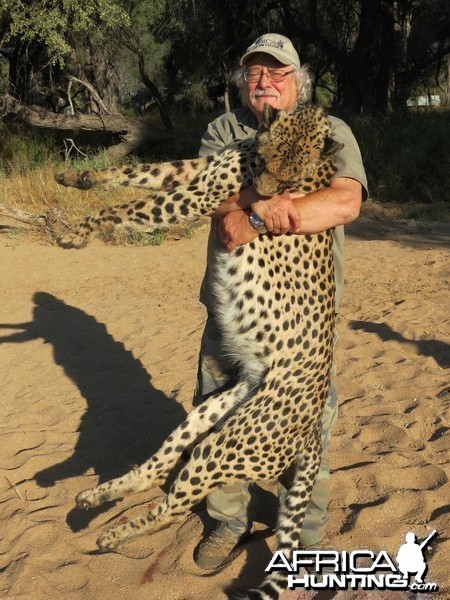 Cheetah - Namibia