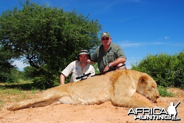 Lioness- Kalahari, RSA ..Son Louis