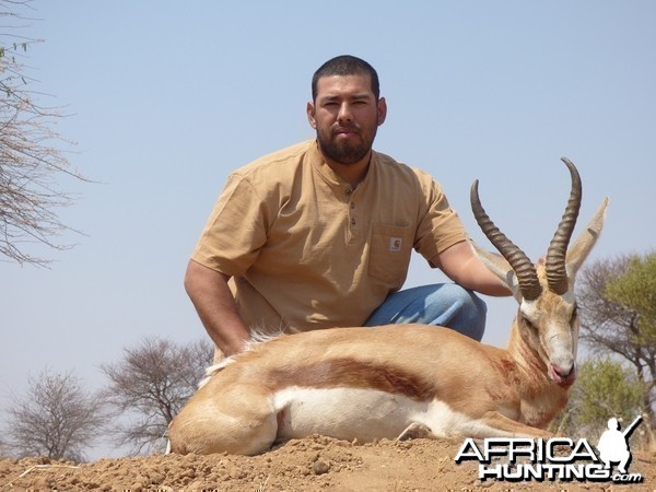 Springbok 15 inches