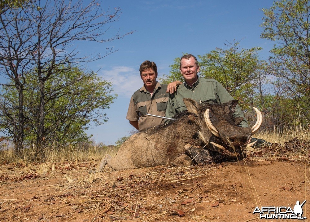 Warthog 12 1/2 inches