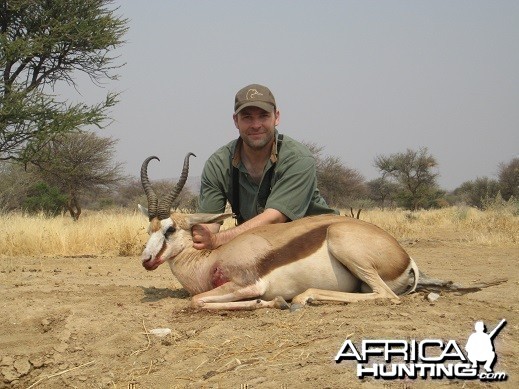 Springbok 16 1/4 inches