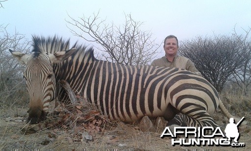 Hartmann's Mountain Zebra