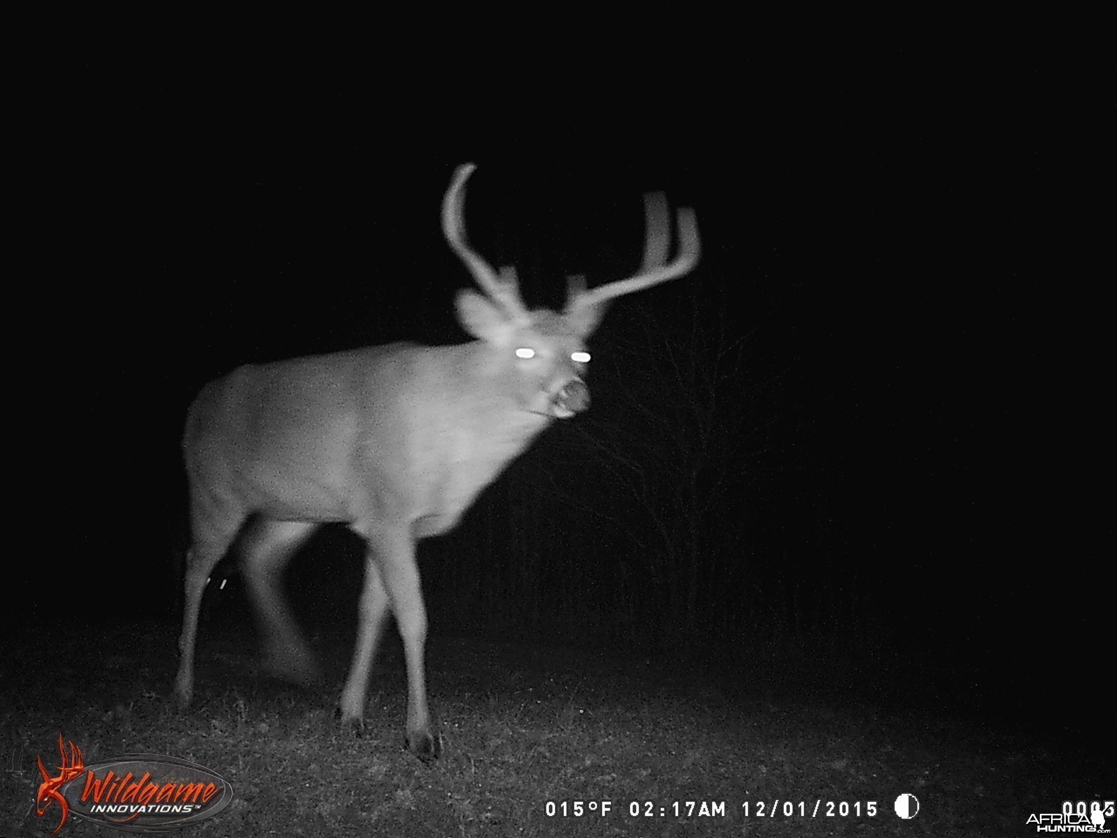 2015 Trail Cam