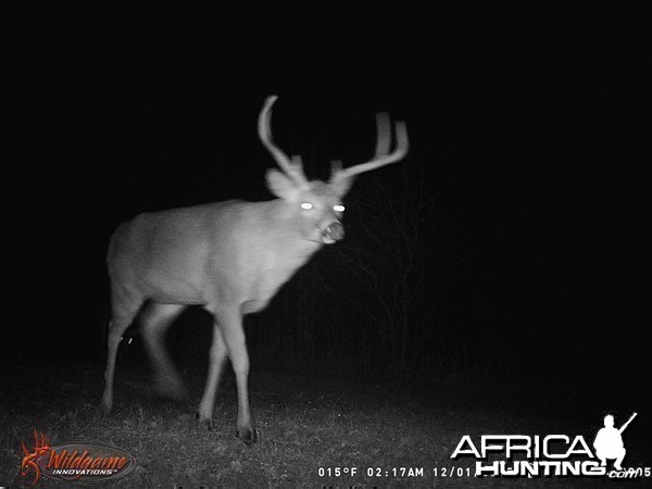 2015 Trail Cam