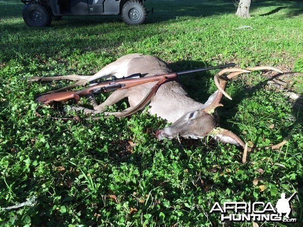 First buck from the new place