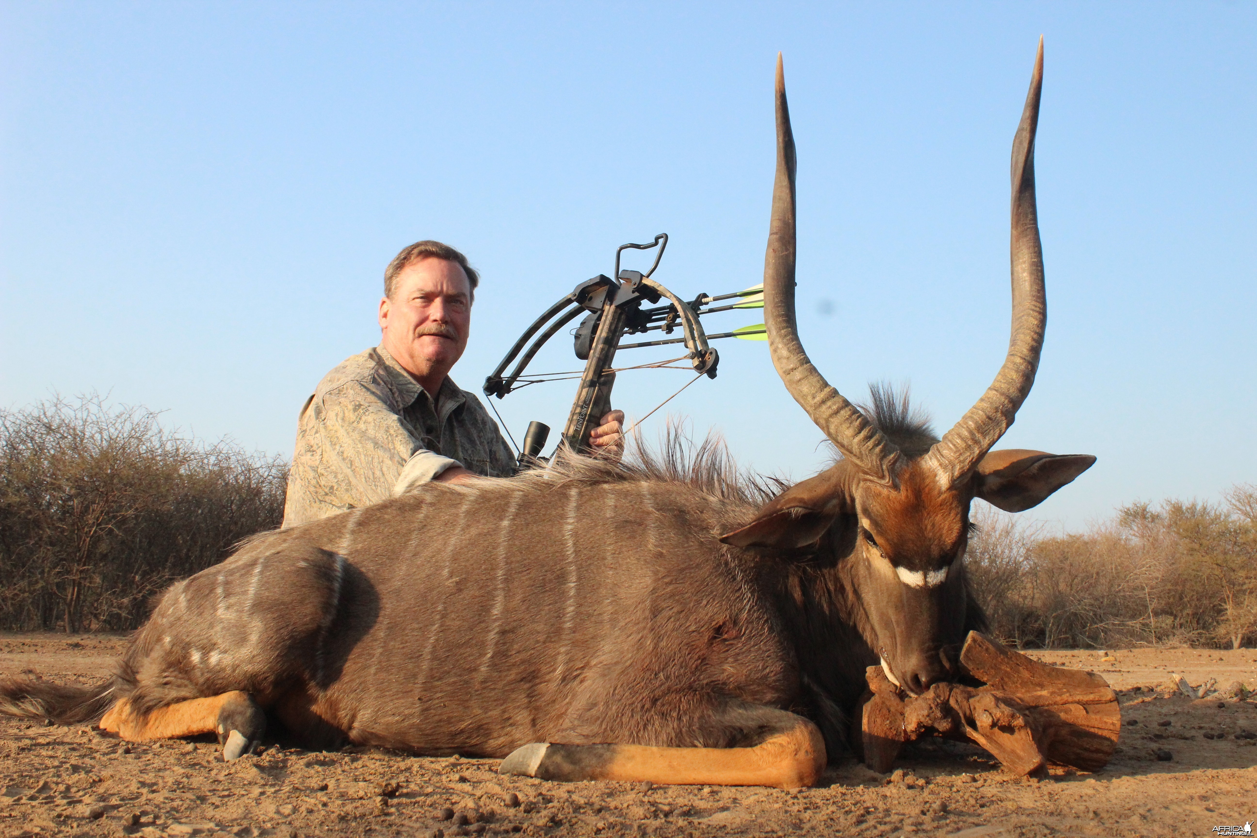 Nyala