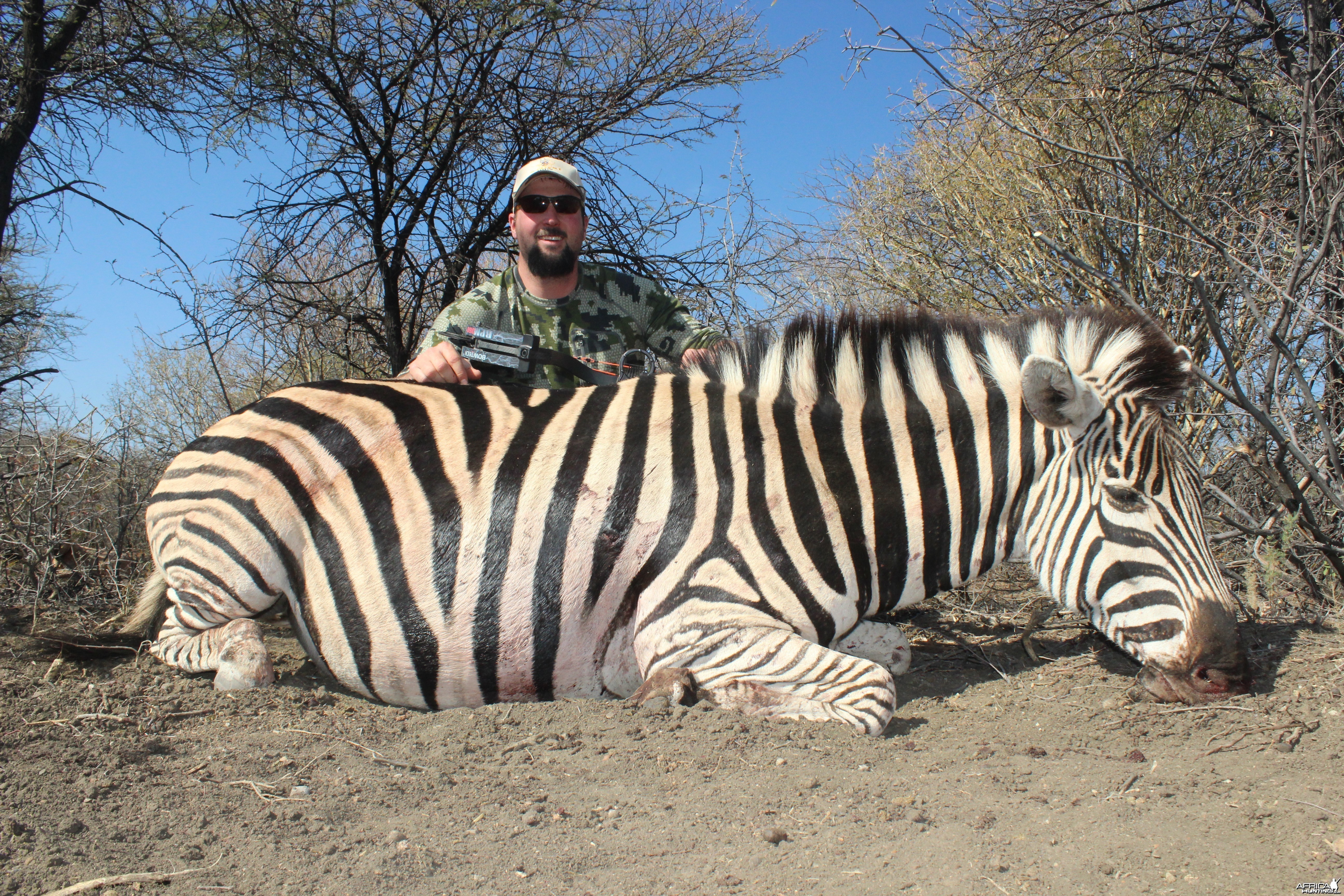 Zebra Burchells