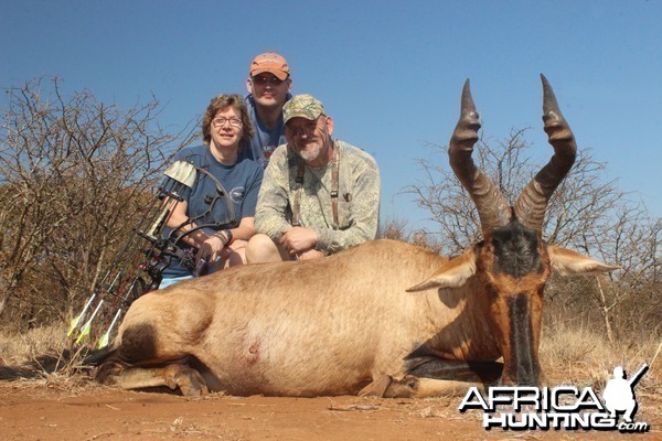 Red Hartebeest