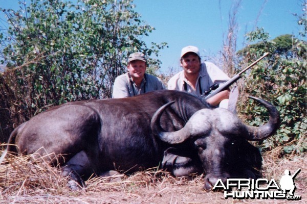 Terry Wagner Cape Buffalo - Zimbabwe