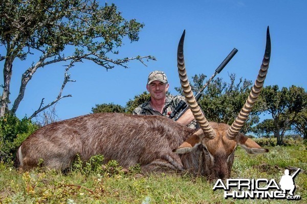 Waterbuck