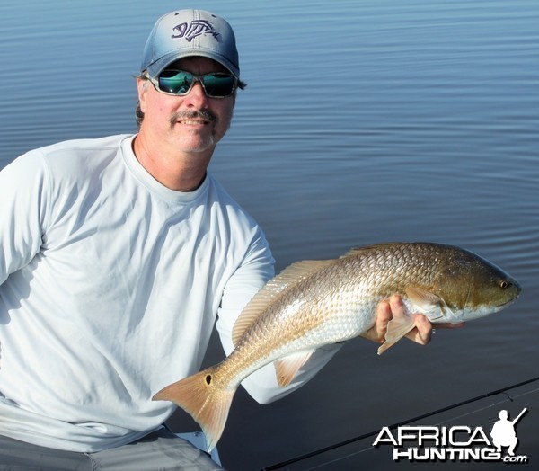 Rankin Bight Redfish, Flamingo, Florida