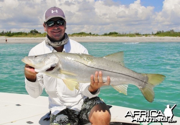 Another solid South Florida beach snook