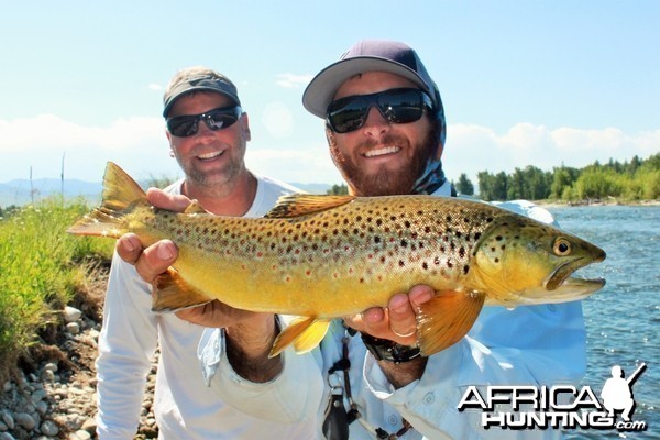 Dry Fly Brown, Fish Creek, Montana