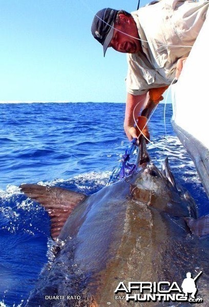 Black Marlin