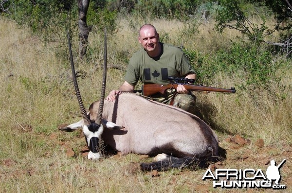 Gemsbok